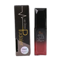 Silky Natural Lip Gloss #15