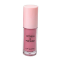 Volumen Lipgloss Mit Plumping Effekt, 5g, #06