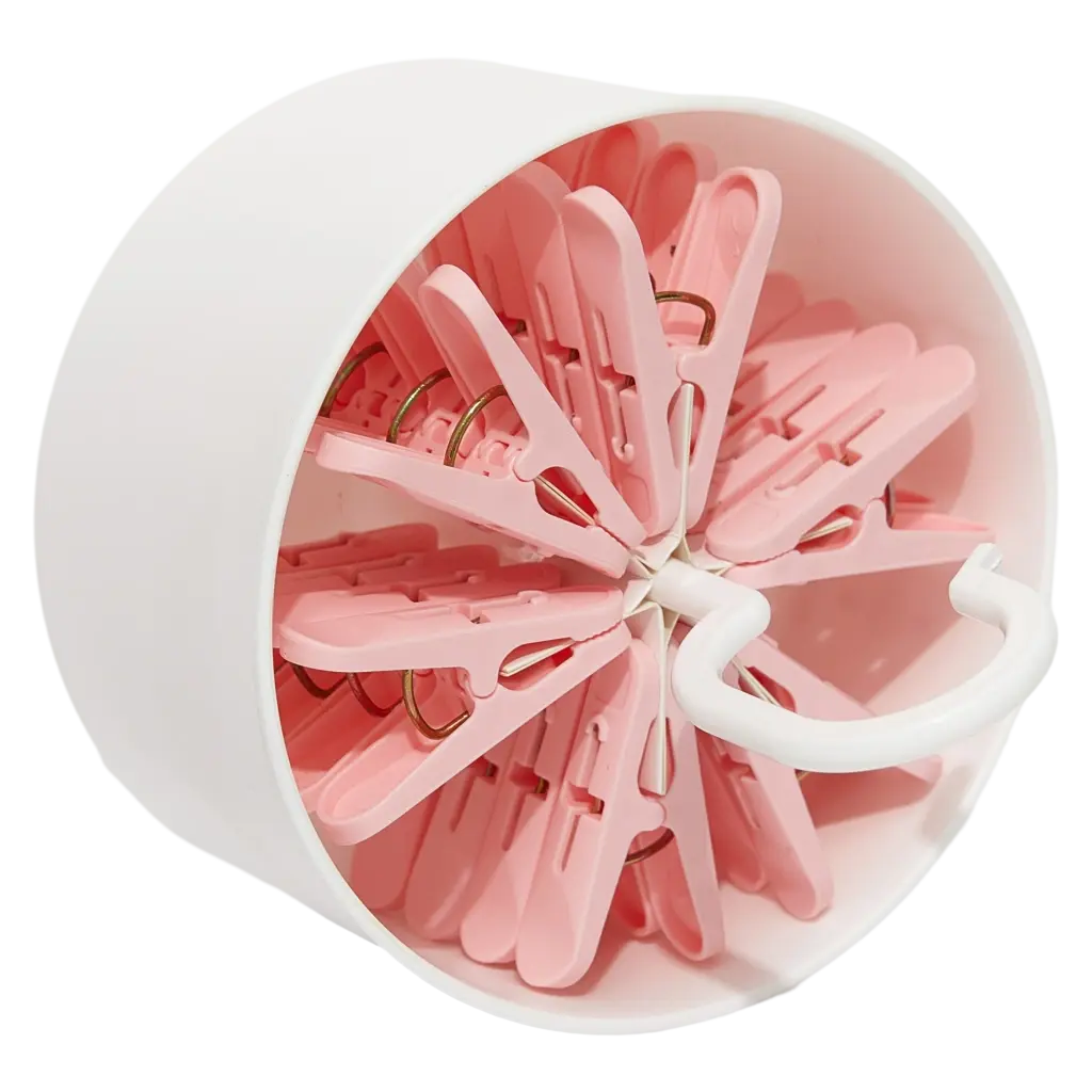 24er-Set Wäscheklammern aus Polypropylen mit Aufbewahrungsbox (Rosa/Türkis)