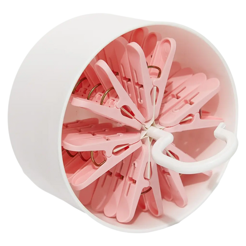 24er-Set Wäscheklammern aus Polypropylen mit Aufbewahrungsbox (Rosa/Türkis)