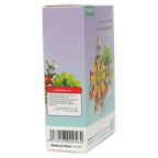 Baustein-Set mit Sukkulenten-Design, 207 Teile (Mehrfarbig)