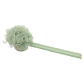 Duschbürste mit Borsten und Luffa für die Körperpflege (Grün)