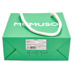 Geschenkbox und Geschenktasche Set, klassisch stabil (Grün)