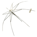 Langgriff-Regenschirm mit Fiberglas-Rippen und J-Griff (Transparent/Weiß)