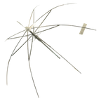 Langgriff-Regenschirm mit Fiberglas-Rippen und J-Griff (Transparent/Weiß)